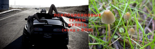 гидропоника Бугульма