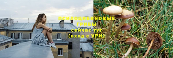 дмт Аркадак
