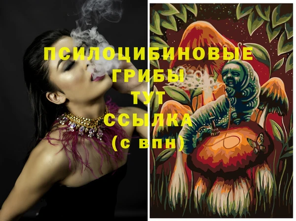 дживик Армянск