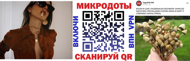 ссылка на мегу ТОР  Усинск  Галлюциногенные грибы Cubensis 